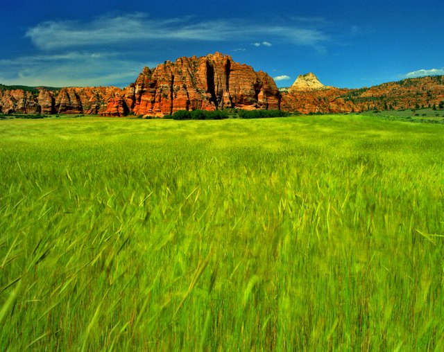 zion highlands 8x10.jpg