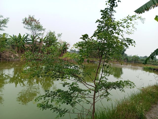 IMG_20240414_100445_215.jpg