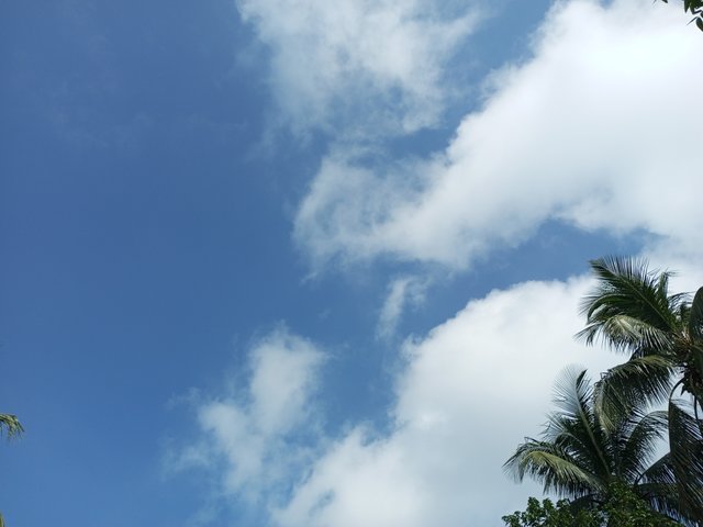 IMG_20220922_085531_497.jpg