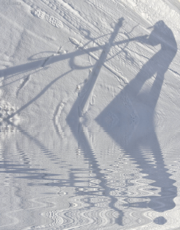 shasta2019jan8th47snowballfight1io.gif