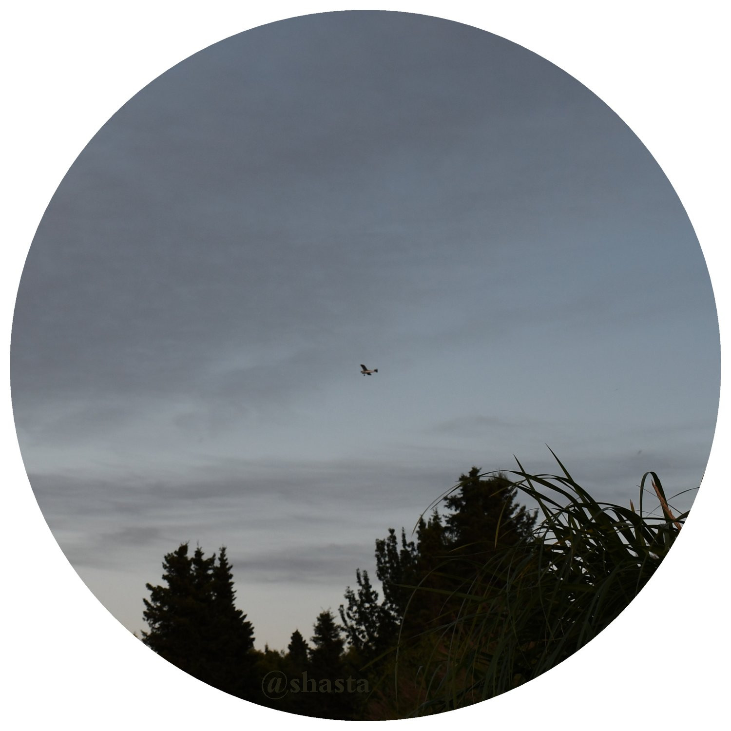 shasta2018aug24th47planesunset10io.jpg