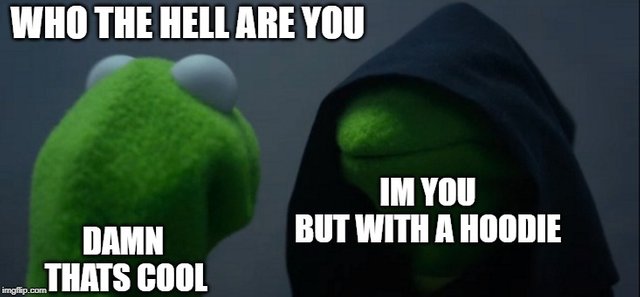 im you but with a hoodie.jpg