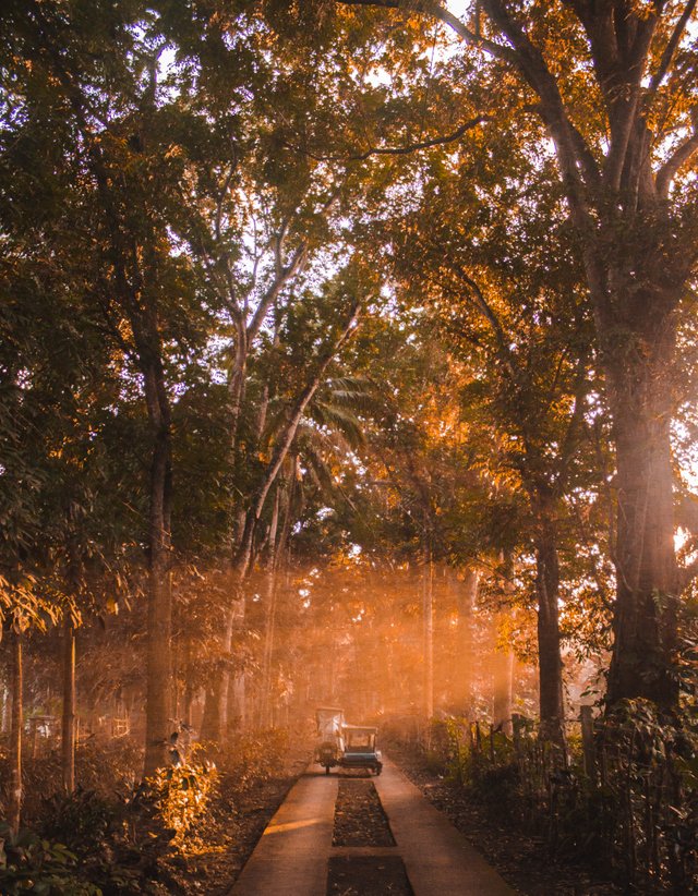 countryside-daylight-drive-2475386.jpg