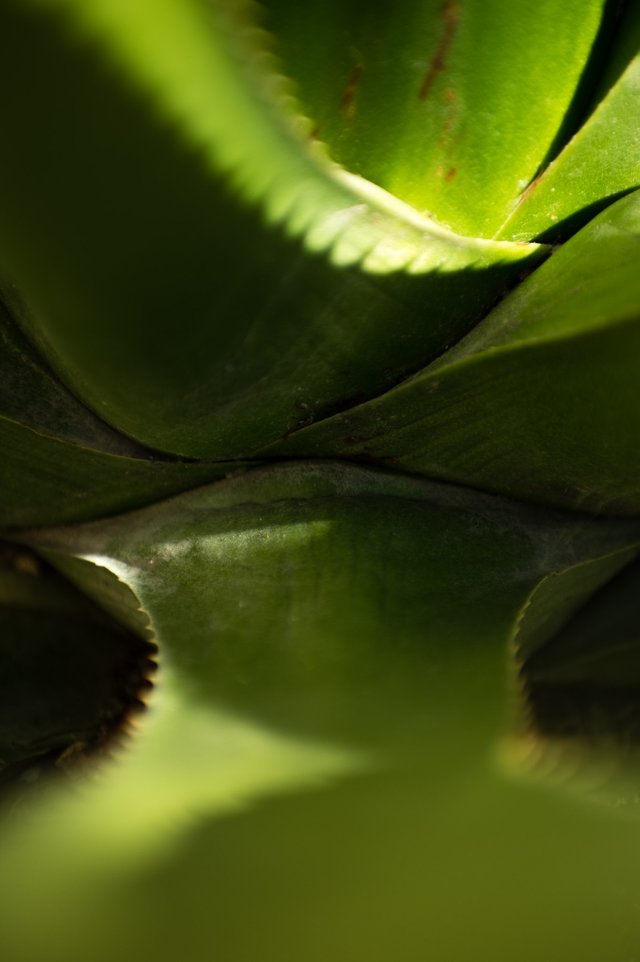0001ccJune 09, 2019 IMGP6857.jpg