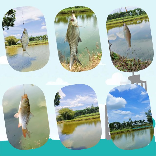 PhotoCollageMaker_2022713132129678.jpg