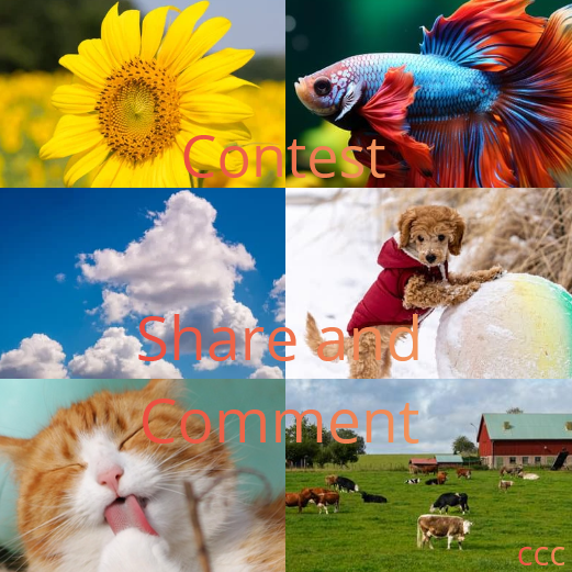 gertucanvaconcursocomparteycomenta.png