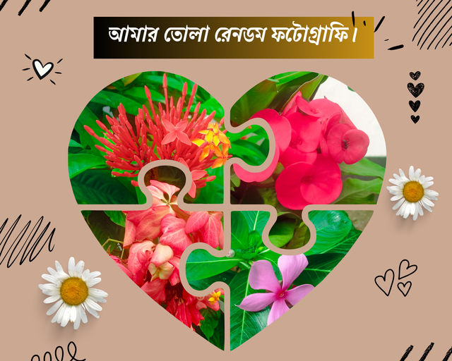 আমার তোলা সুন্দর কিছু আলোকচিত্র (3).png