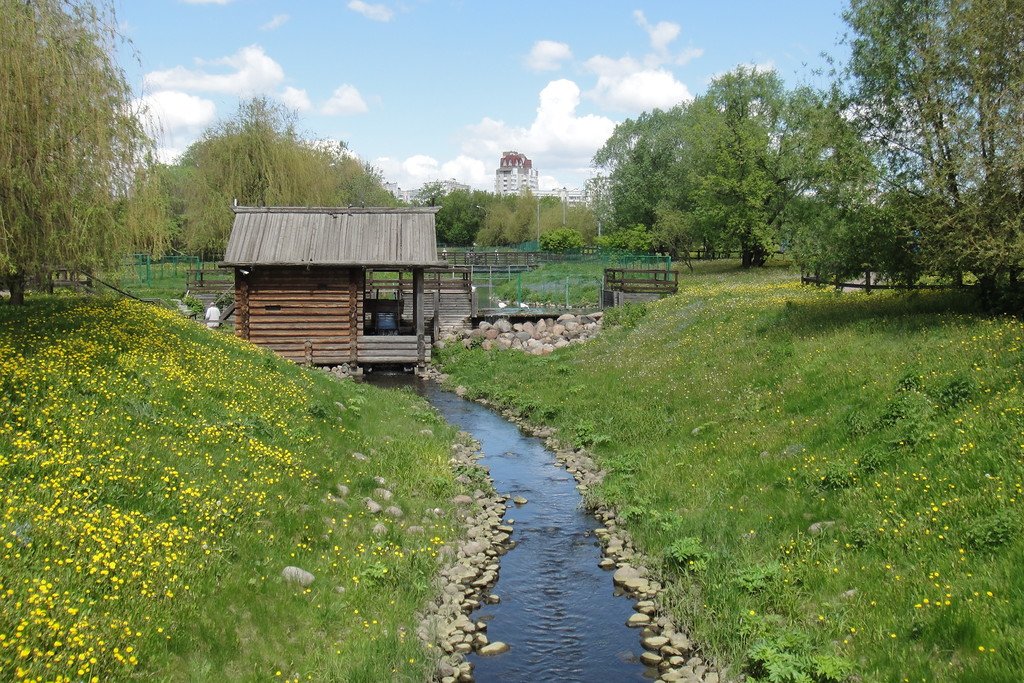 Здесь река. Река Жужа в Коломенском. Река Жужа. Коломенское Жужа. Река Жужа в Москве.