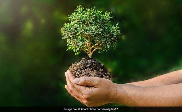 environment-day-generic_625x300_1528170066781.jpg