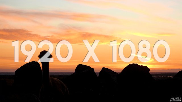 04 1920x1080 Thumbnail Lama at Dusk.jpg