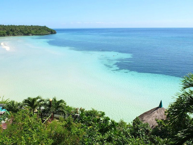 camotes_530303_10151350911611228_613289826_n1.jpg
