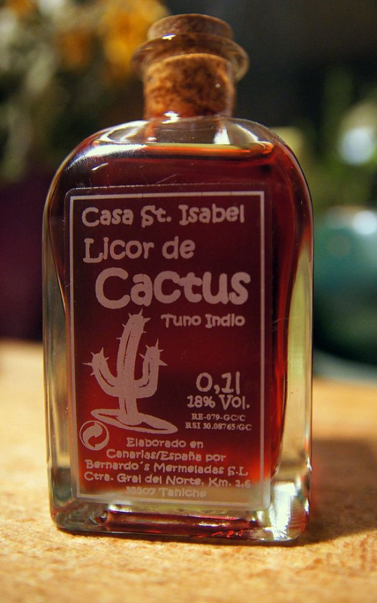 Tuno Indio: I Get Messy Sampling The Crazy Cactus Super Fruit!   Steemit
