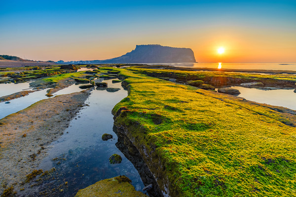 jeju.jpg