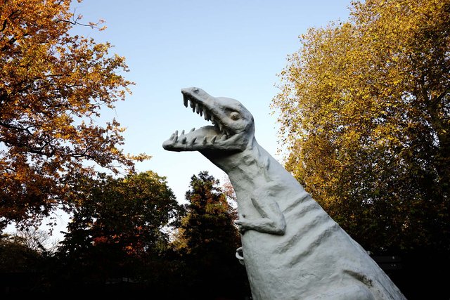 Zoo1.jpg