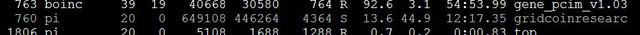 grc3.JPG