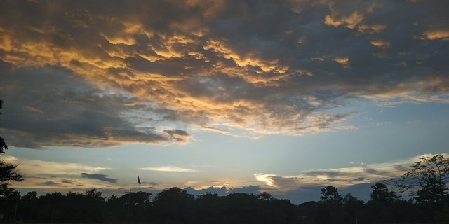 img2.jpg