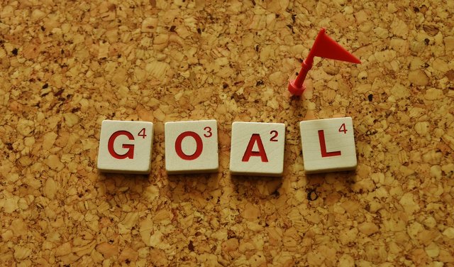 goal.jpg