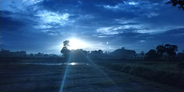 img5.jpg