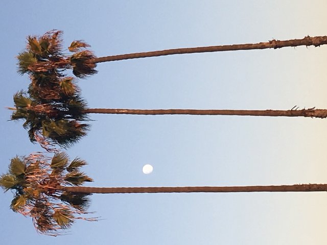 moon.JPG