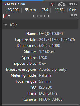 0010.PNG