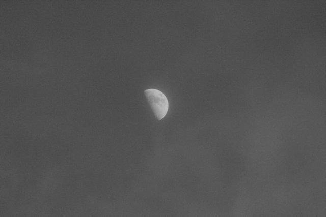 moon.jpg
