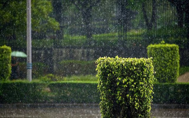 rain.jpg