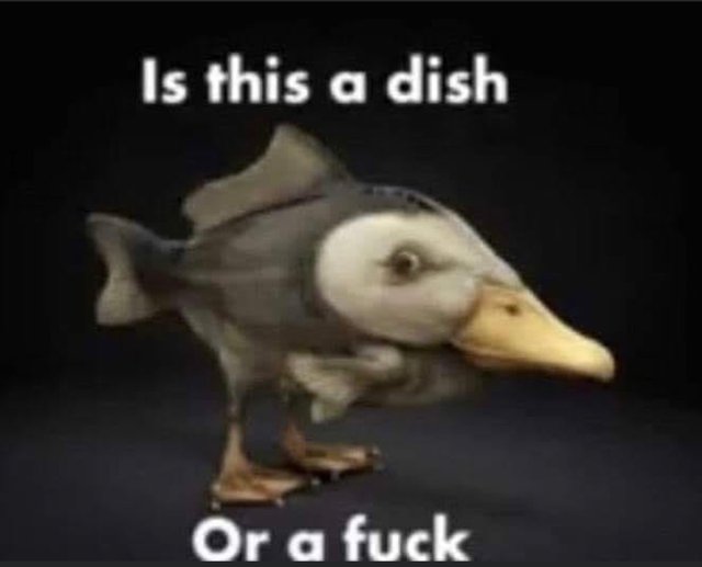 dish fuck