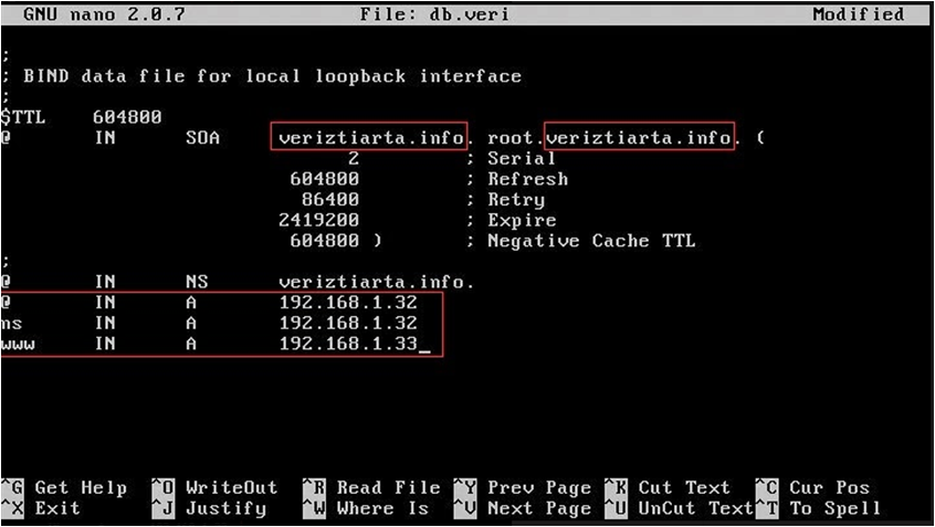 Exchange dns rr public ttl. Установить DNS сервер Linux. Доступный DNS сервер в линукс. Как настроить DNS на Linux. TTL Интерфейс.