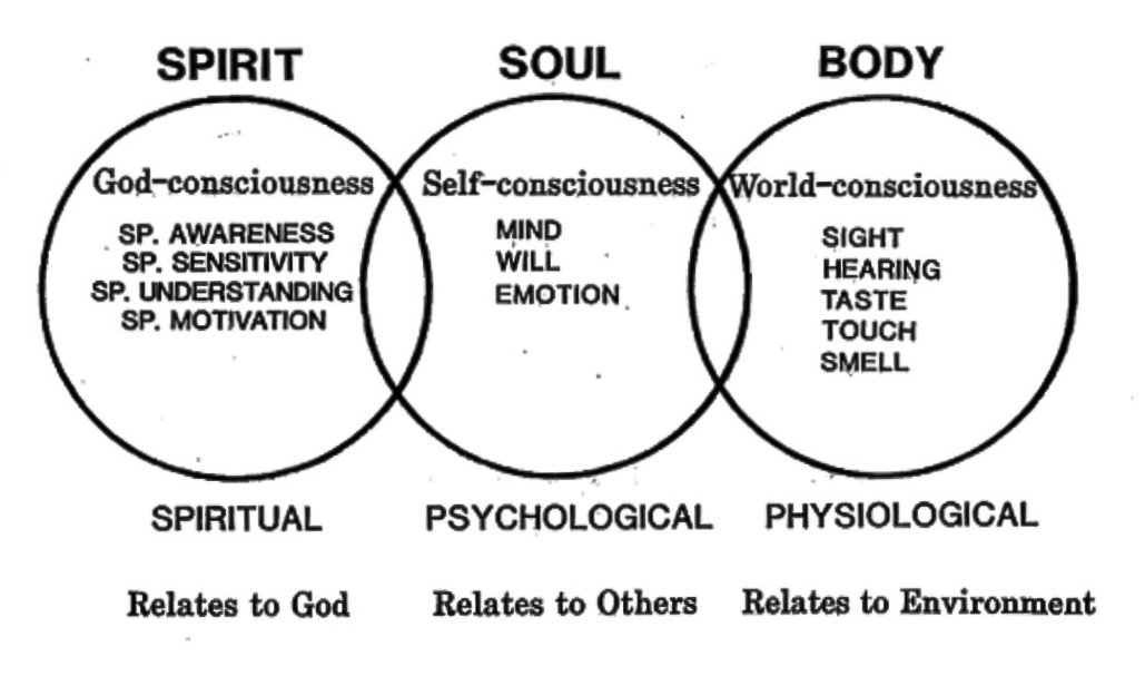 Body soul. Body Soul Spirit. Спирит боди соул. Mind body Soul. Spirit Soul разница.