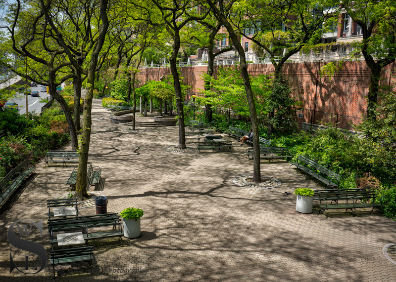 Wednesday walk Peter Detmold Park (4 of 5).jpg