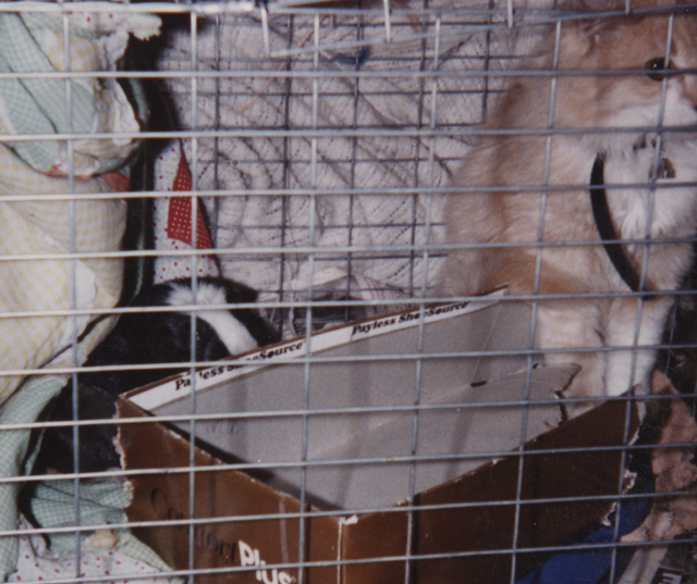 2000's apx Ra Ra & Cheesy Puff in Cage-1.png