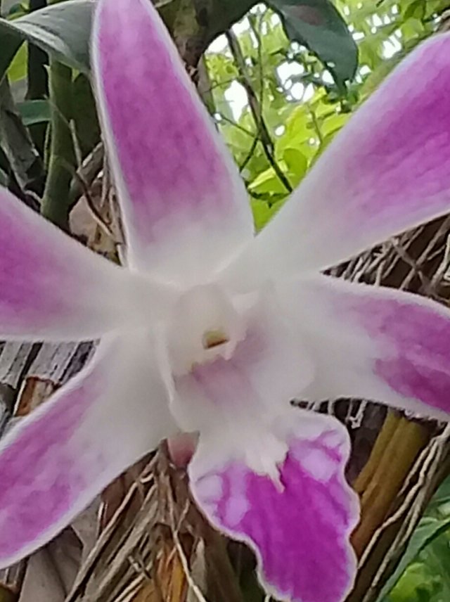 20180911_183920.jpg