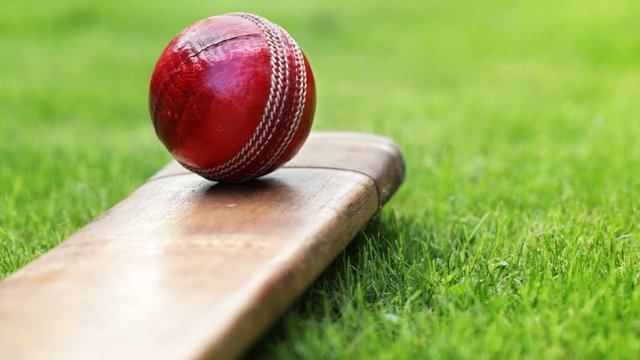 Cricket-974x548.jpg