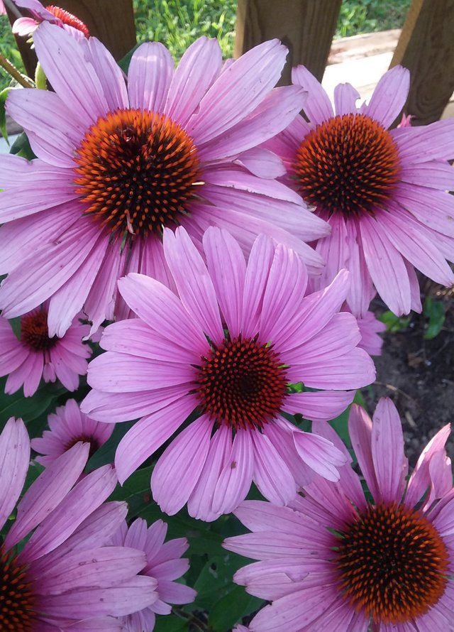 20190830_191005.jpg