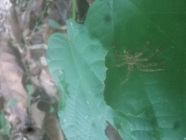 20190517_123211.jpg