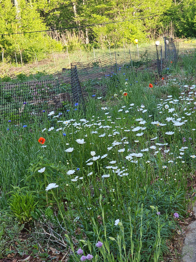 20260518_065009.jpg