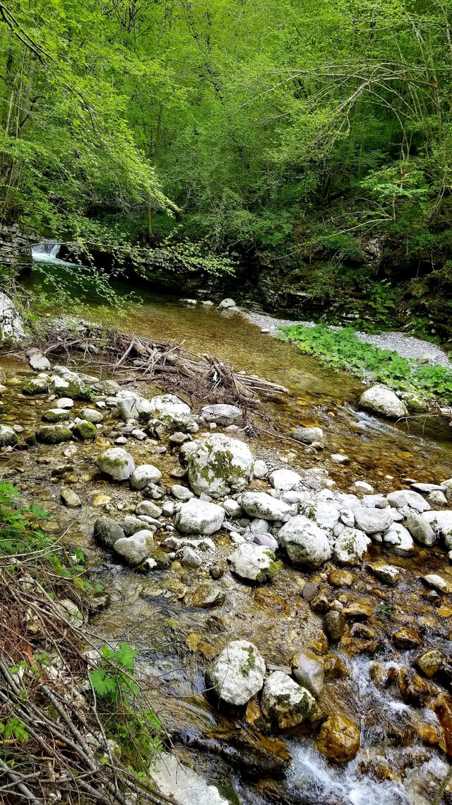 20180721_095134.jpg