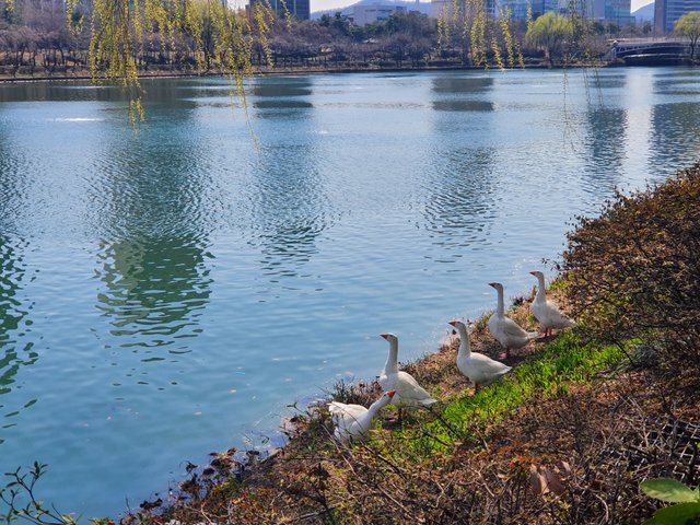 20220328_132850.jpg