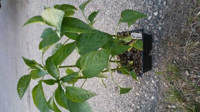 20180526_213206.jpg