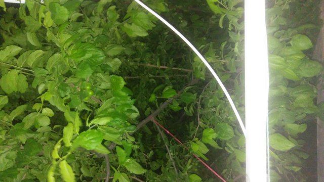 20190520_234837.jpg
