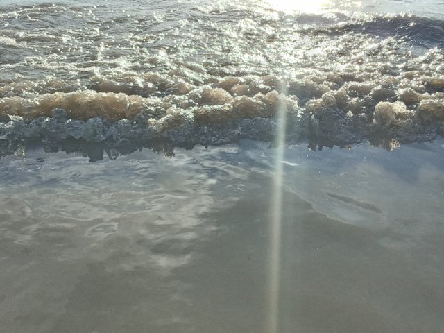 20221005_164537.jpg