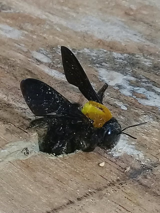 20180911_200152.jpg