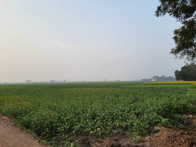 20251226_160925.jpg