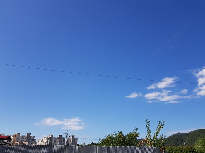 20180905_093550.jpg
