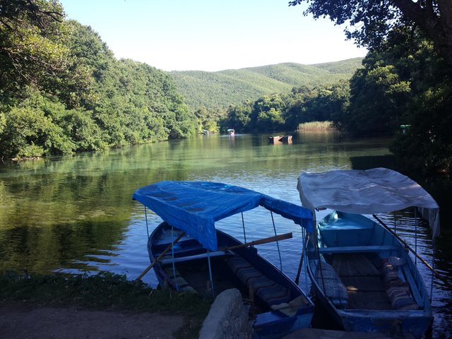 20140818_160355.jpg