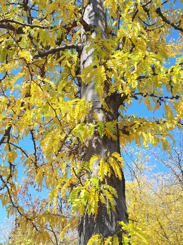 20181007_110257.jpg