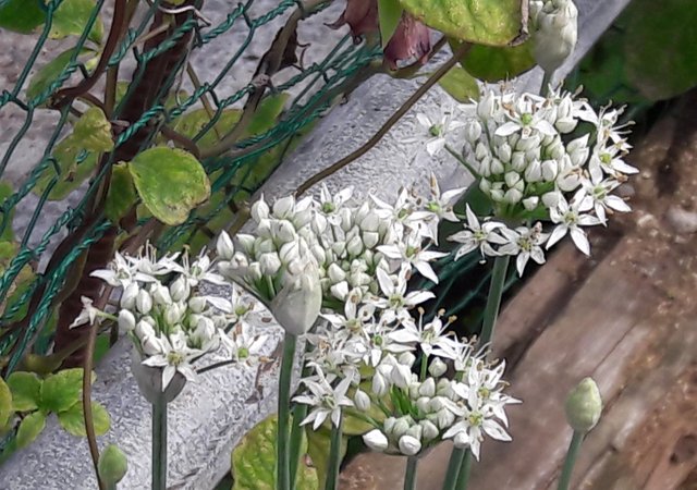 20190818_101416.jpg