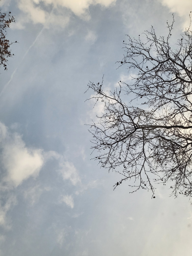 20260209_155515.jpg