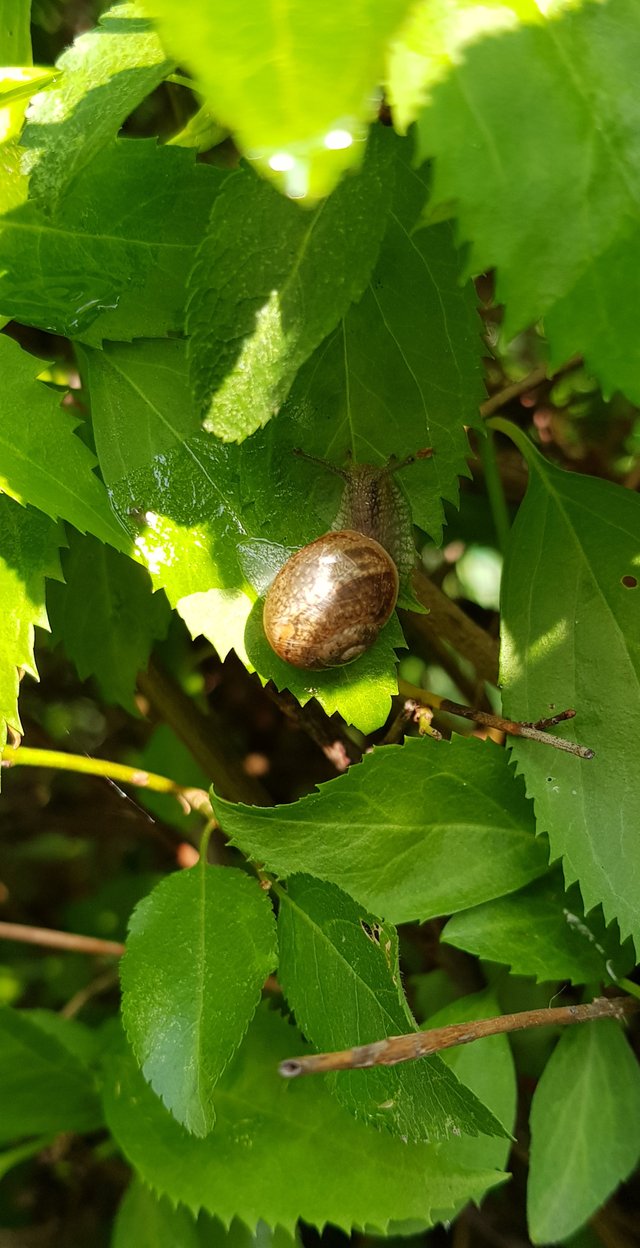 20190528_083257.jpg