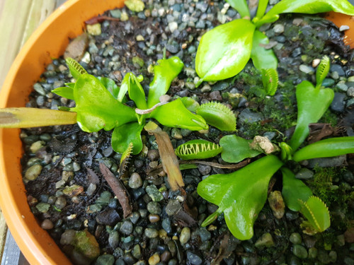 20180218_153601.jpg